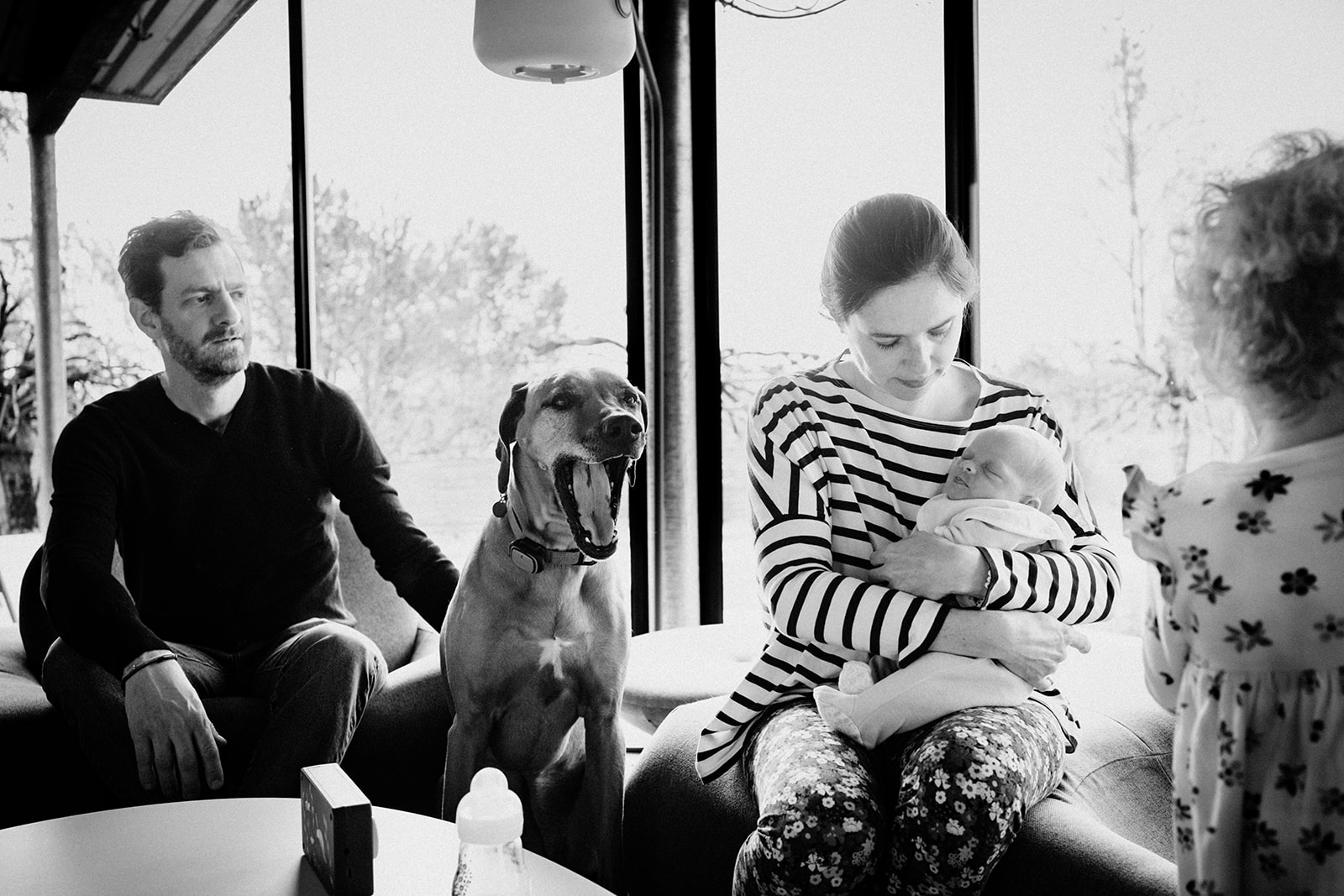 Photo de nouveau-né en famille avec chien dans un style documentaire