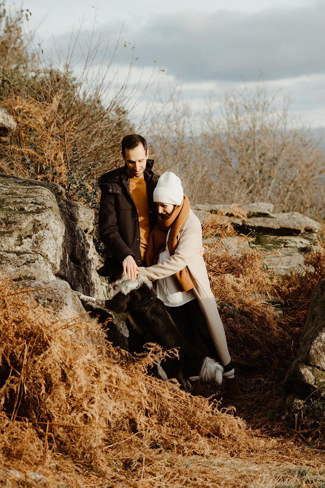 Seance grossesse Limoges et border collie